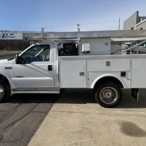 2004 Pulstar P10000